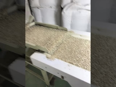 venta al por mayor precio barato grado barkey China semilla de girasol mejor vendido en Amazon