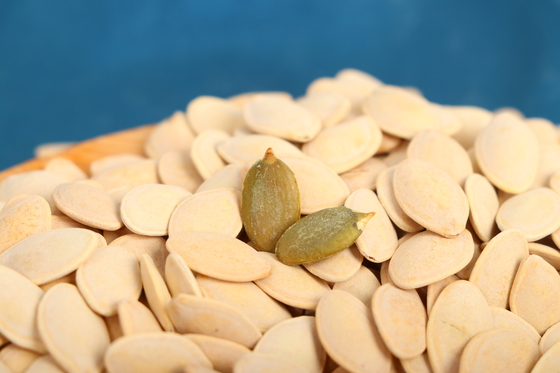 comprar Procesamiento de semillas de calabaza de cáscara brillante horneadas de grado avanzado para el procesamiento online manufacture