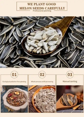 comprar China Proceso de fábrica Cinco especias aromáticas hervidas Saladas Semillas de girasol asadas online manufacture
