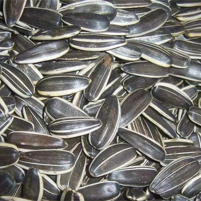 comprar Lleve su negocio al siguiente nivel con semillas de girasol S3 online manufacture
