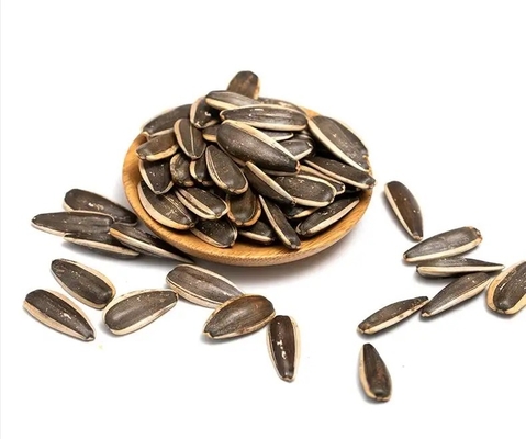 comprar Precio competitivo Venta caliente Semillas de girasol asadas Embalaje personalizado Flores secas Aceite de girasol crudo China Comer 5 toneladas 190 361 online manufacture