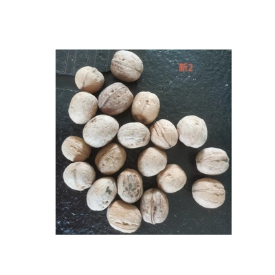 comprar China Factory Wholesale Nuevo producto Noche Lavada 185 Con Precio Más Barato y Alta Calidad online manufacture