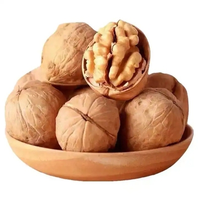 comprar China Envío más rápido y más fresco Natural 185 grano de nuez sin cáscara online manufacture