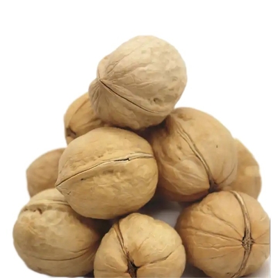 comprar Nuevas cosechas actuales en la cáscara mejor opción Nuez, número uno de calidad - Envasado en una bolsa de 5 libras (80 oz.) online manufacture