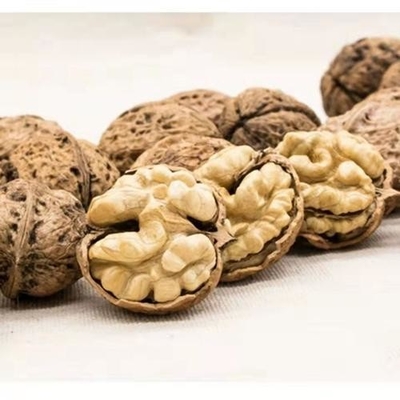 comprar Venta caliente de Amazon Fábrica Directamente de la nuez de Xinjiang xin2 el grano de la nuez exportación de Rusia OEM ODM online manufacture