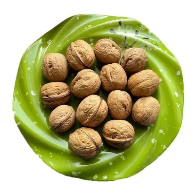 comprar cáscara de nuez granos de nuez 100% natural orgánico perfecto como bocadillo mayorista productos más vendidos de Amazon online manufacture