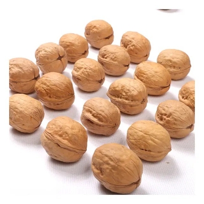 comprar Venta caliente en Amazon Alta calidad Precio al por mayor barato Nueces crudas secas En venta online manufacture