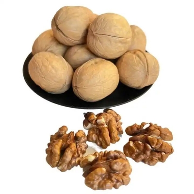 comprar Fabrica mayorista 10 kg/bolsa de nueces crudas 185/33/xin2/xingfu productos más vendidos de Amazon online manufacture