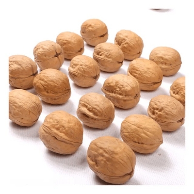 comprar Fabricante venta al por mayor Xinjiang 185 nueces sin cáscara y xin2/33 nueces online manufacture