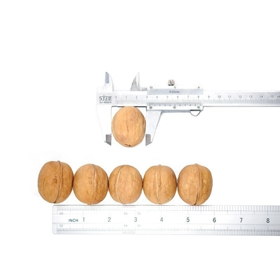 comprar Venta caliente en Amazon de alta calidad mejor precio al por mayor fábrica xinjiang piel fina 185 nuez 32mm+ online manufacture