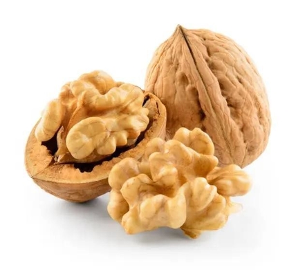 comprar China Nuevo cultivo de venta caliente en Turquía de China nueces núcleo media papel cáscara nuez online manufacture