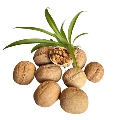 comprar al por mayor nueces de Xinjiang de alta calidad nueces sin cáscara con precio barato productos más vendidos de Amazon online manufacture