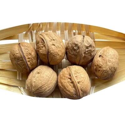 comprar Desde Xinjiang China nueces chinas 185 nueces en cáscara nueces para la venta a bajo precio online manufacture