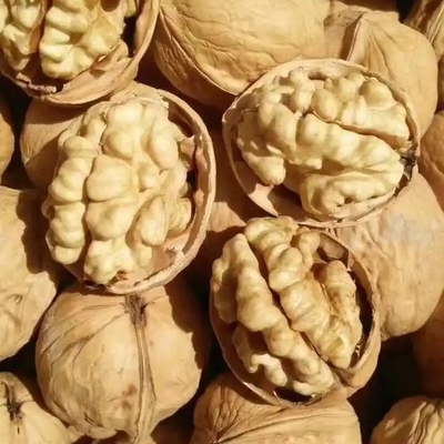 comprar Nuevo cultivo de nuez descascarada para rendimiento online manufacture