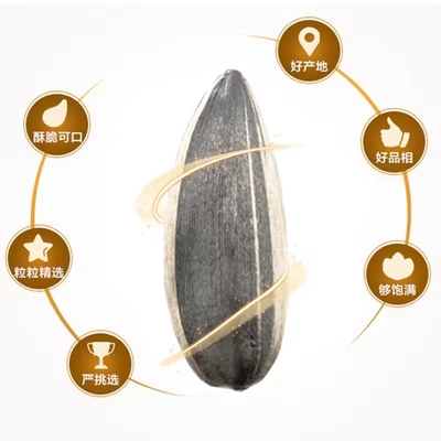 comprar Certificado Halal Frutos secos y bocadillos de núcleo Semillas de girasol asadas con sabor Mayorista y OEM Profesional Popular online manufacture