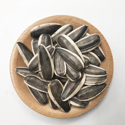 Semillas de girasol T6: el aperitivo perfecto para una dieta equilibrada y saludable