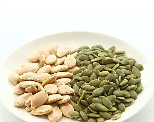 Semillas frescas de Pepitas de estilo fresco y nutritivo garantizado