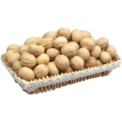 China nueces Factory Supplier Wholesale Salud en cáscara nueces orgánicas Alimentos con nueces kenrel