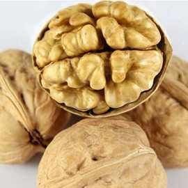 Venta al por mayor Encasilla de nuez fresca deliciosa Nutrición Núcleo alimenticio Nueces secas Precio de fábrica Productos más vendidos de Amazon