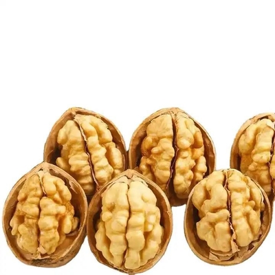 Venta en caliente en Amazon Venta directa de fábrica 185/33/xin2/xingfu de nuez y granos de nuez de la mejor calidad