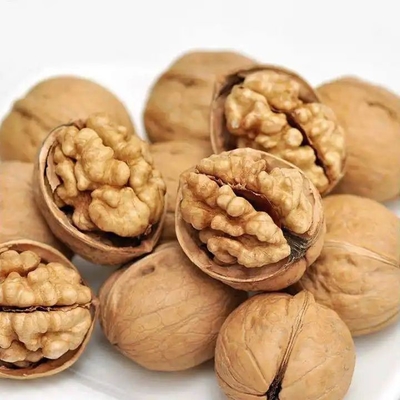Actualice su línea de productos con Walnut Kernel Xin 2