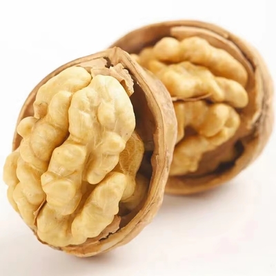 Fabrica 1kg nueces Precio de nueces Medias al por mayor China Top Thin Raw Amber 25kg/bolsa Embalaje Noces crudas secas Núcleo de nueces secas