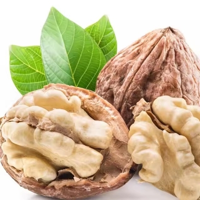 Tipo de cultivo común Noche tipo 185/xin 2/33 productos recomendados