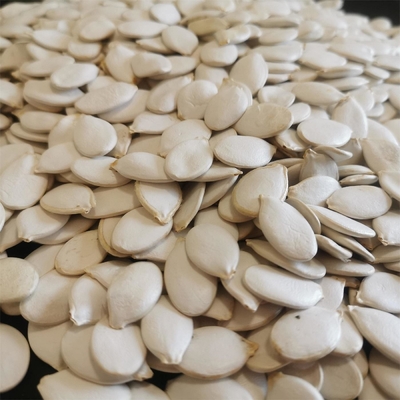 Semillas de calabaza blanca de nieve de primera calidad con humedad de 7% máximo